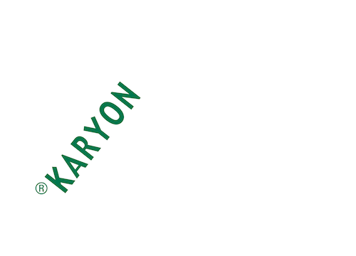 Karyon Logo